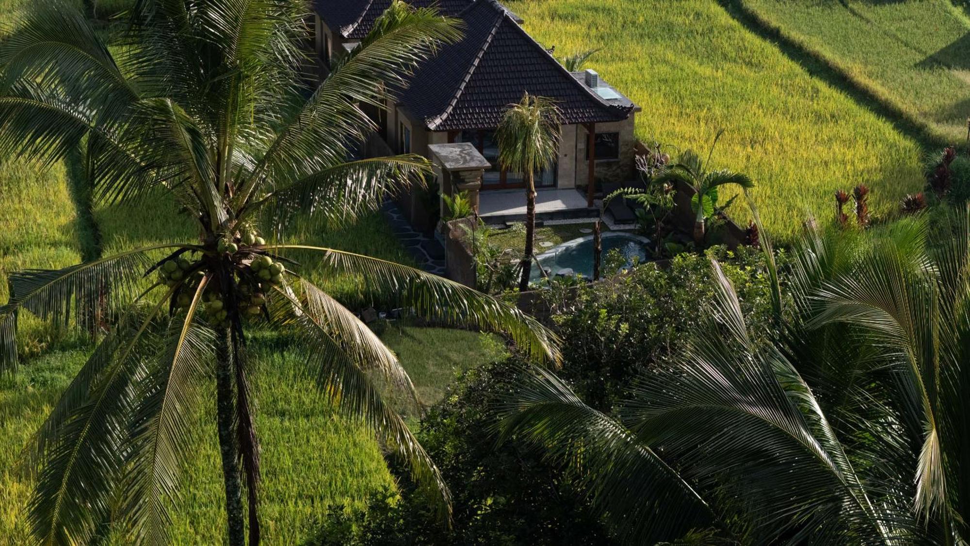 אובוד Sawah Sebatu Villa מראה חיצוני תמונה