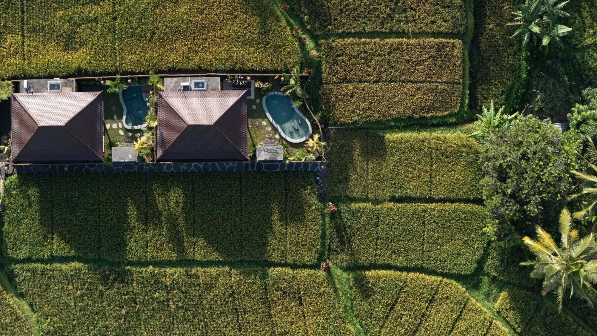 אובוד Sawah Sebatu Villa מראה חיצוני תמונה