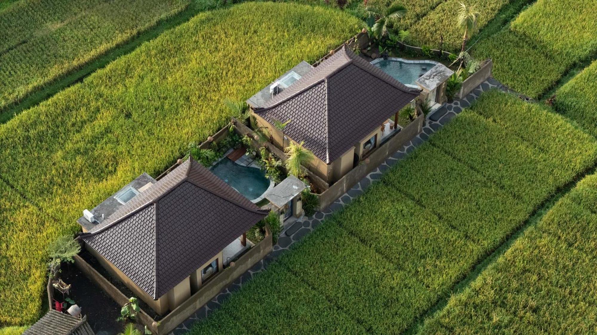אובוד Sawah Sebatu Villa מראה חיצוני תמונה